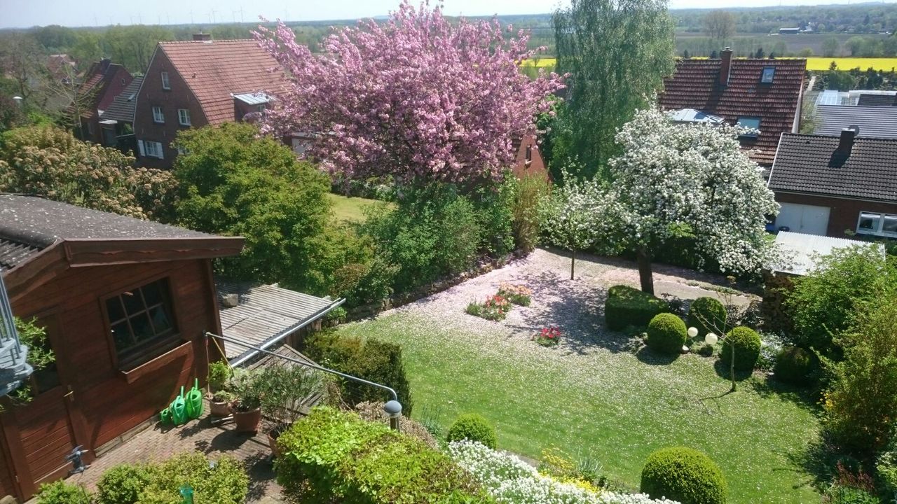 Garten (Frühling) Garten (Frühling)